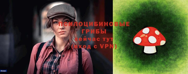 сатива Арсеньев