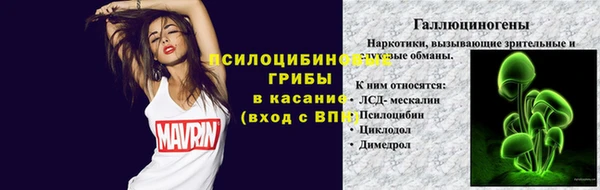 сатива Арсеньев