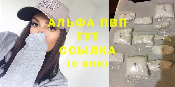сатива Арсеньев