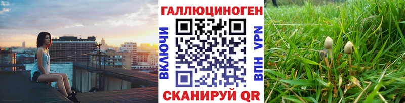 Псилоцибиновые грибы Cubensis  где продают наркотики  Нурлат 